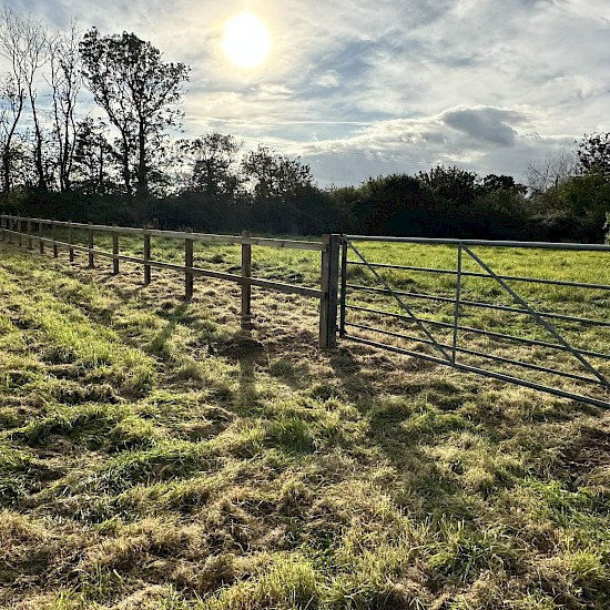 Post & rail fencing with gates