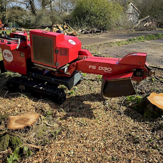 tree surgeon in norwich