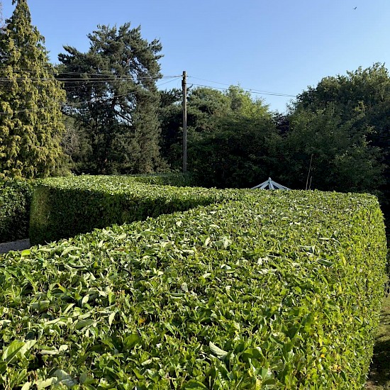 garden hedge trimming in beccles