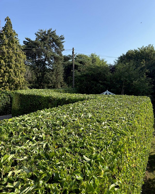 garden hedge trimming in beccles