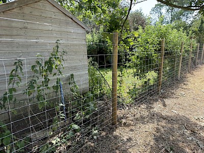 tornado stock fencing installed in shropham