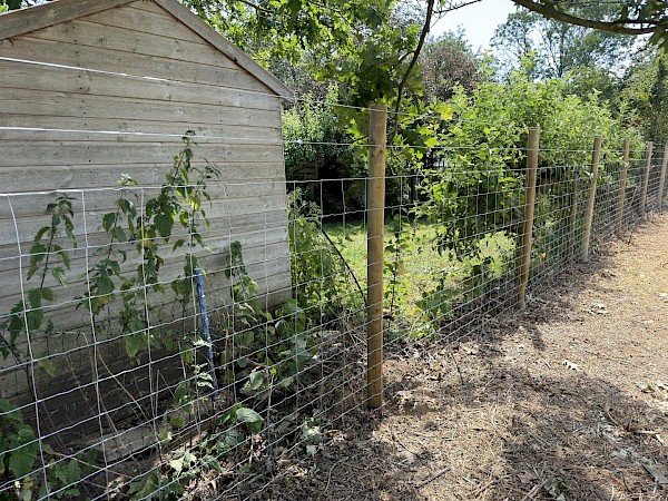 tornado stock fencing installed in shropham