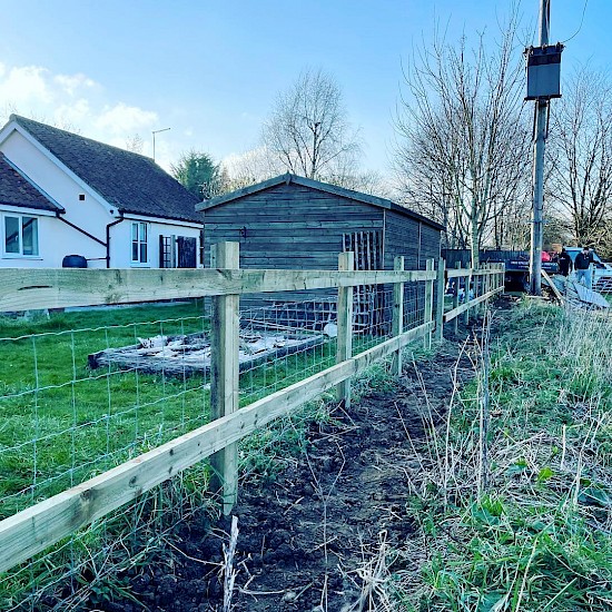 a brown small fencing diss