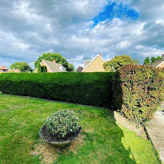 ashley brown large hedge cutting norfolk