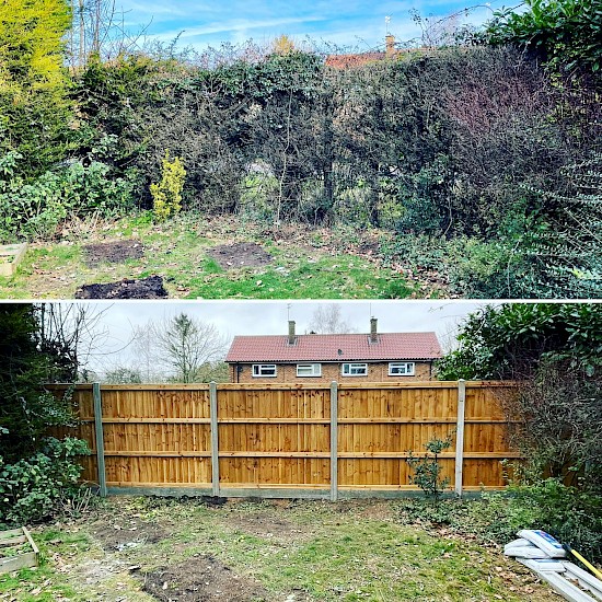 Ashley brown fencing Norwich before and after images