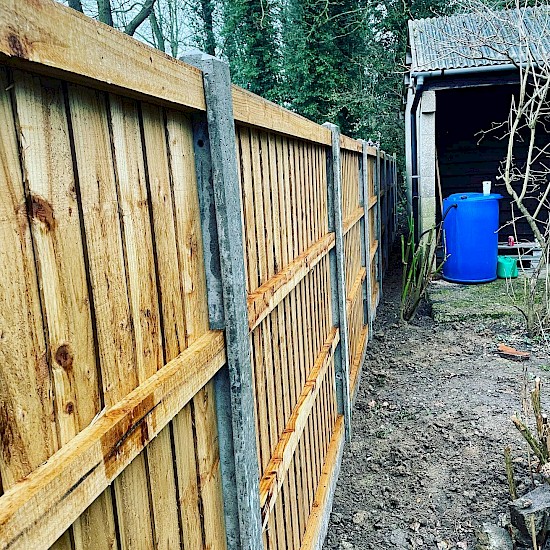 a brown fencing diss