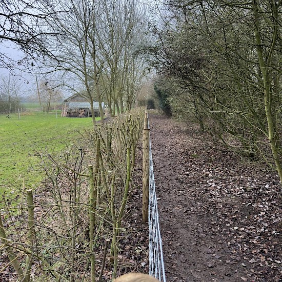 commercial fencing diss