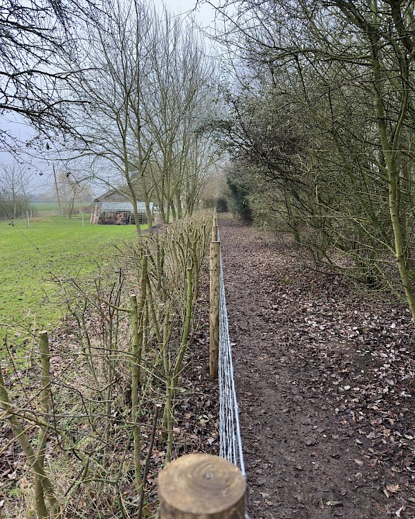 commercial fencing diss