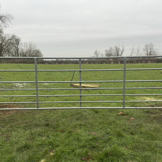 commercial fencing diss