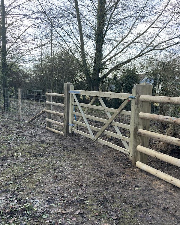 commercial fencing diss