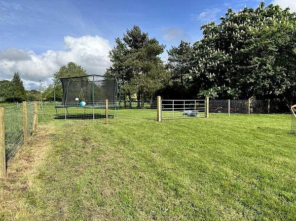 fencing bungay