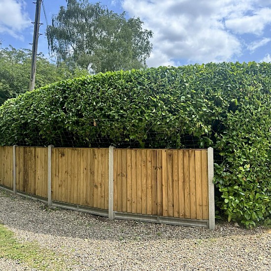 fencing wymondham
