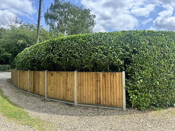 fencing wymondham