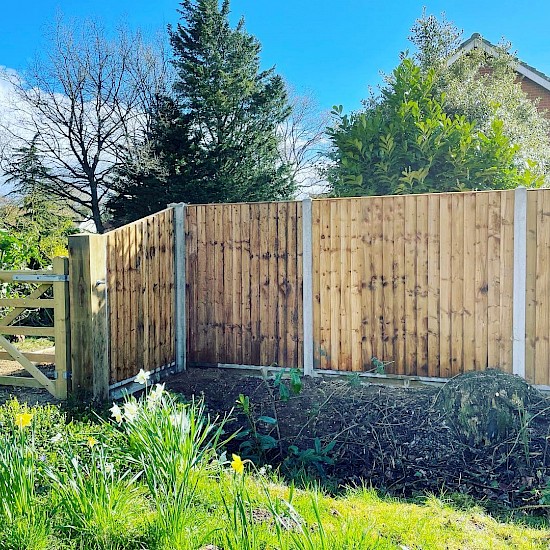 hedge cutting Norfolk Colton