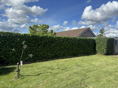 Hedge cutting beccles
