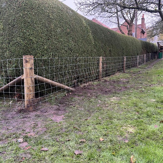 hedge cutting in bungay
