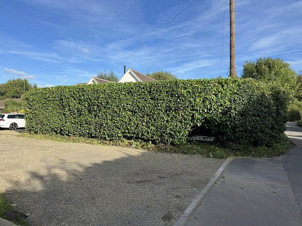 hedge cutting bungay