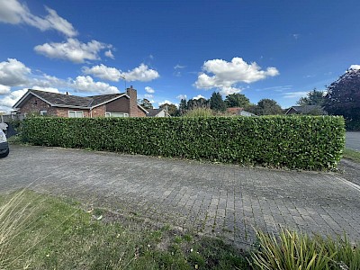 Hedge Cutting Diss