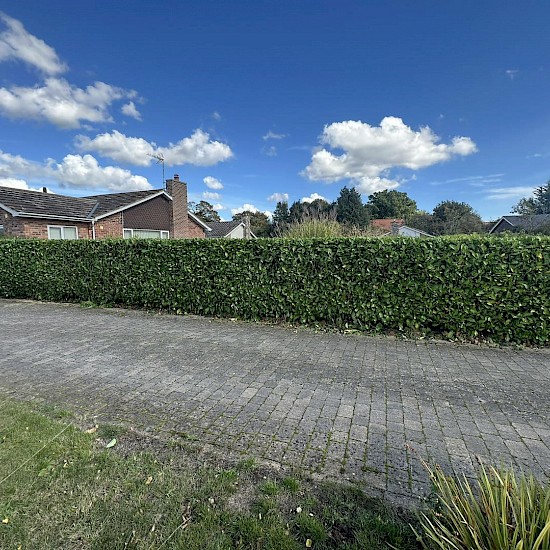 Hedge Cutting Diss