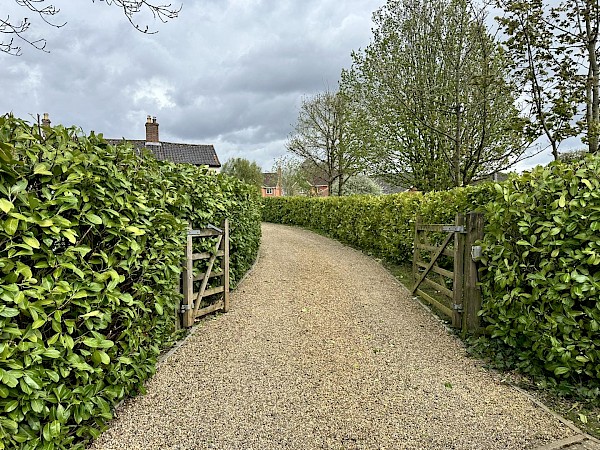 hedge cutting diss
