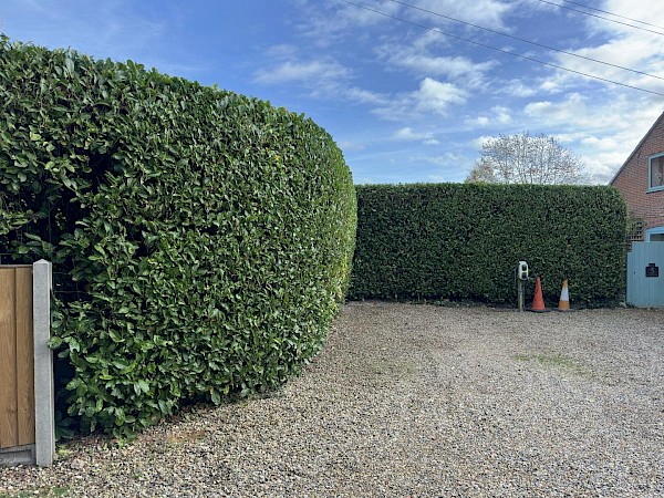 Hedge Cutting in Norwich